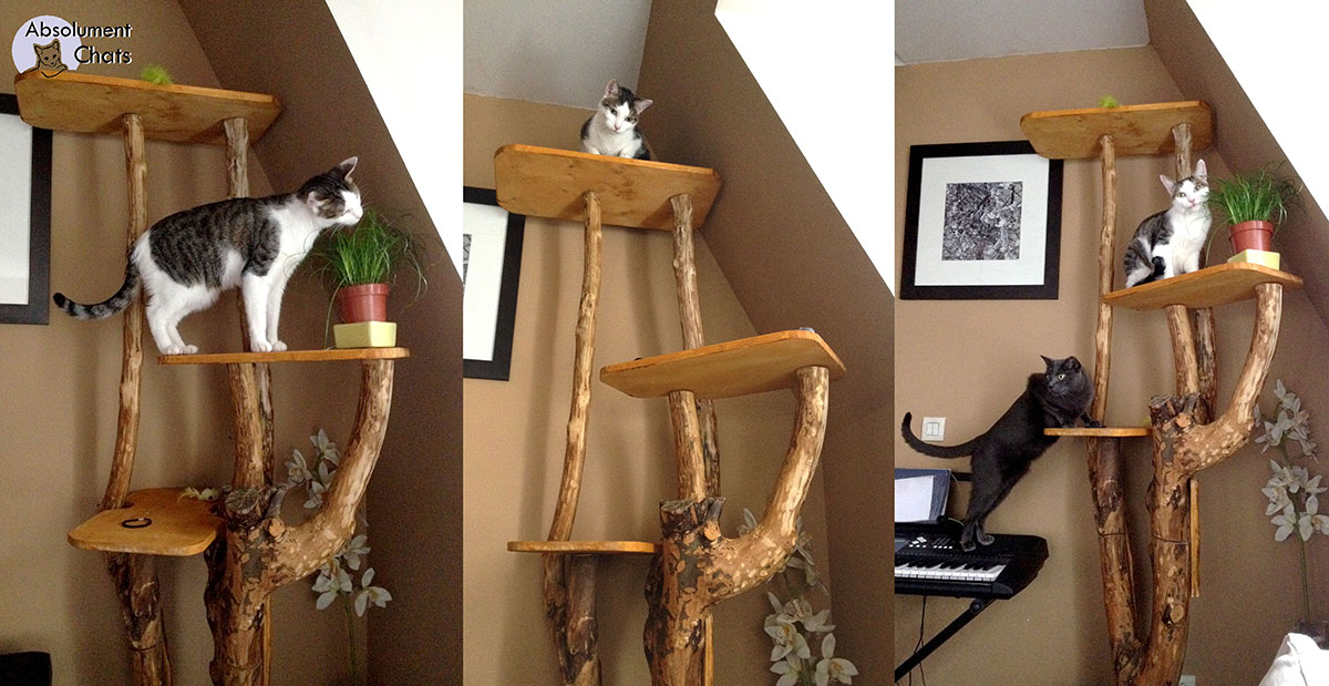 arbre a chat avec un vrai tronc